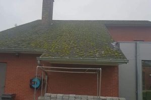 65385869_2403918533172582_4173010527104008192_n