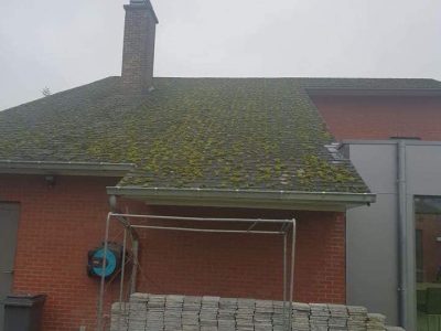 65385869_2403918533172582_4173010527104008192_n